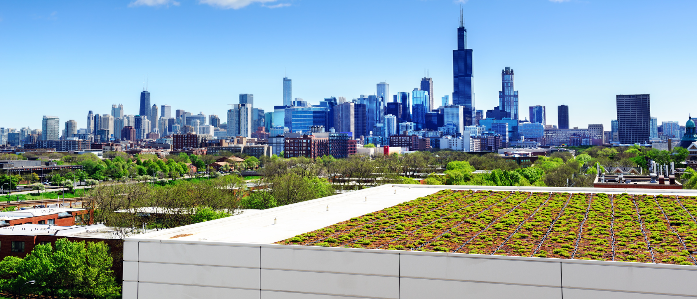 chicago skyline from the west southwest in the background. garden roof in the foreground