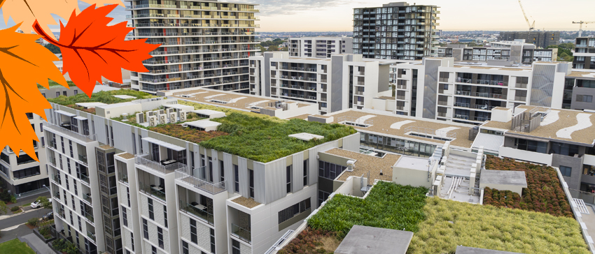 Fall for Green Roofing